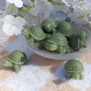 desert tortoise candle wax melts beeswax