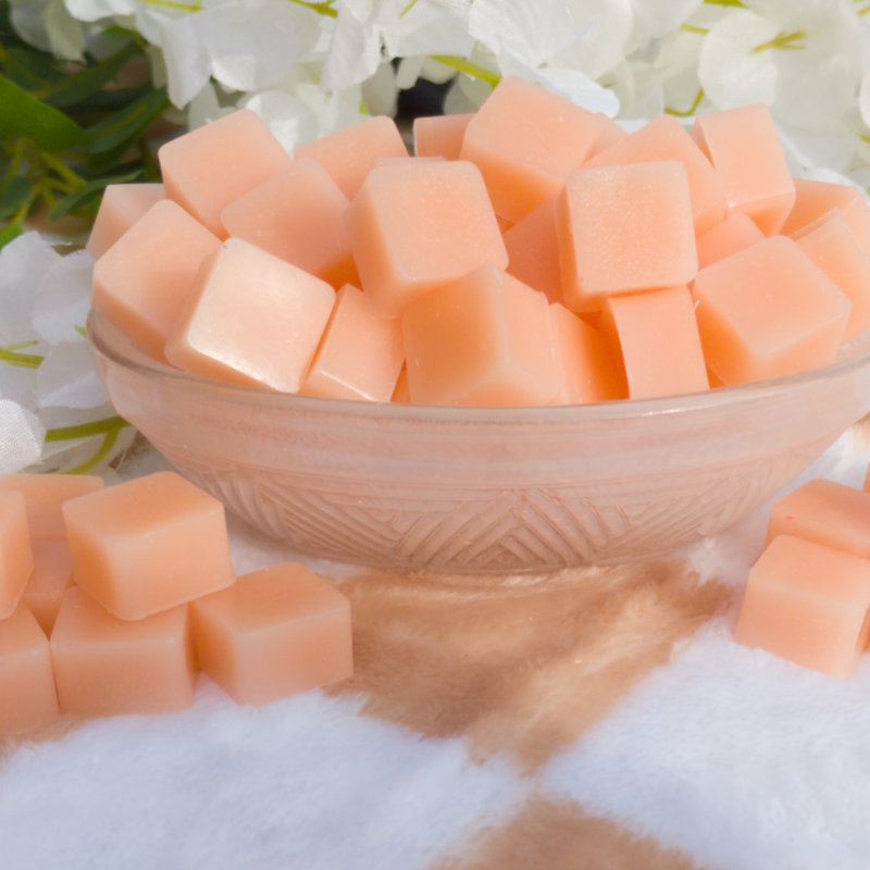 tropic spring wax candle melts online